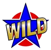 Символ Wild в Hot 27